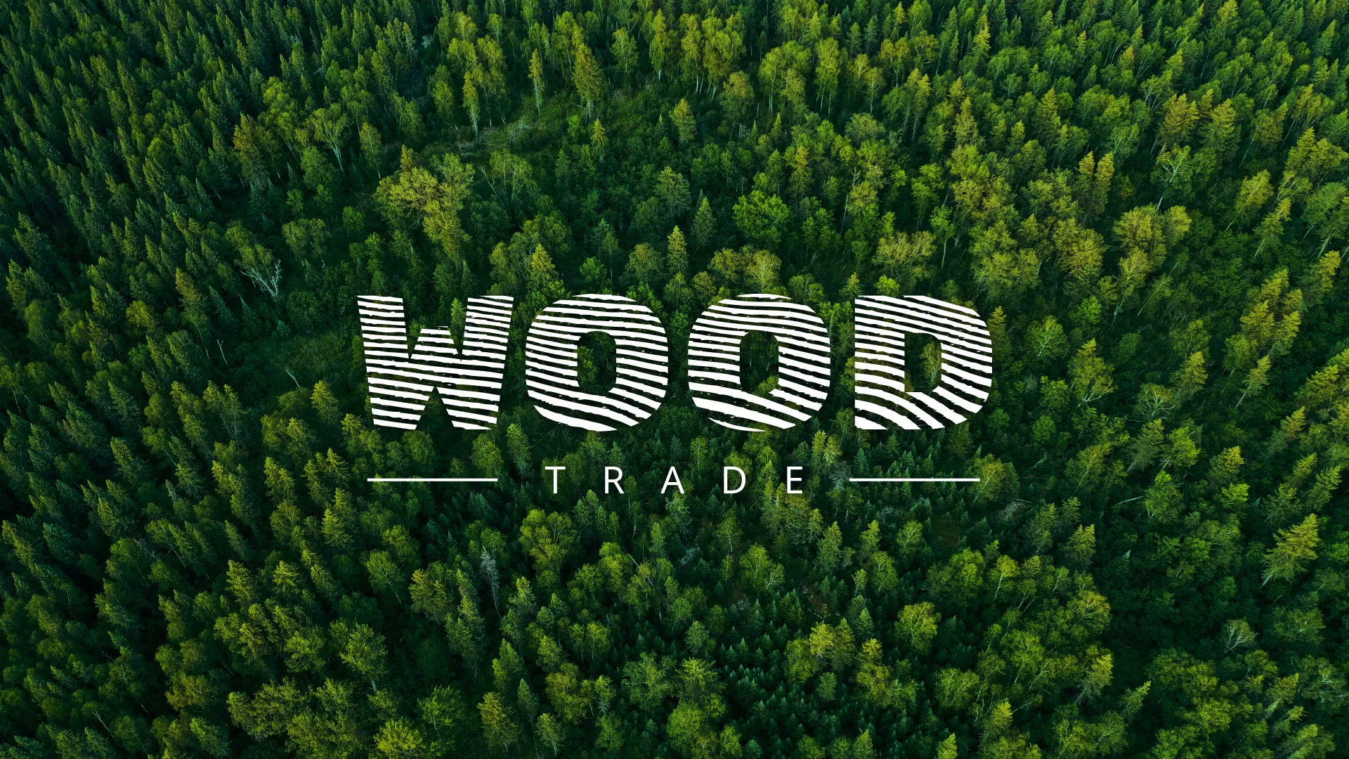 Разработка интернет-магазина компании «Wood Trade» в Вязьме